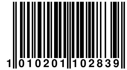 1 010201 102839