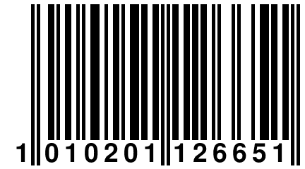 1 010201 126651