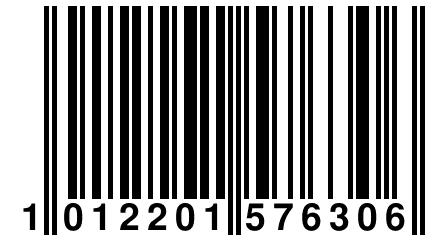 1 012201 576306