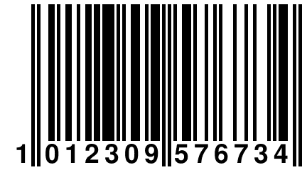 1 012309 576734