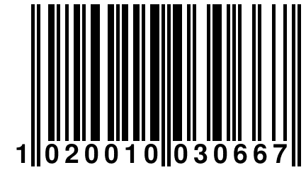 1 020010 030667