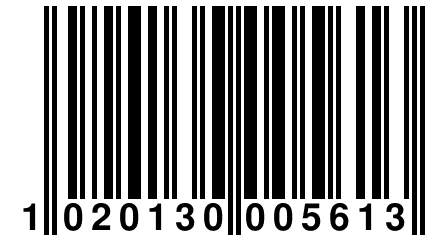 1 020130 005613