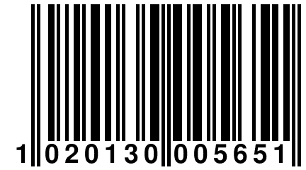 1 020130 005651