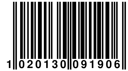 1 020130 091906