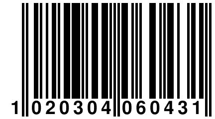 1 020304 060431