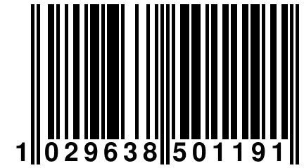 1 029638 501191