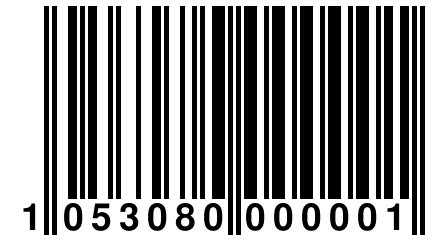 1 053080 000001