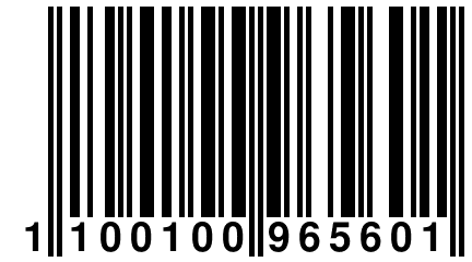 1 100100 965601