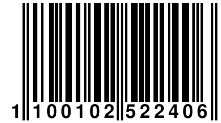 1 100102 522406