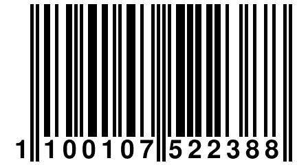 1 100107 522388