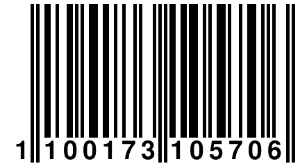 1 100173 105706