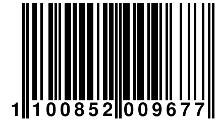 1 100852 009677