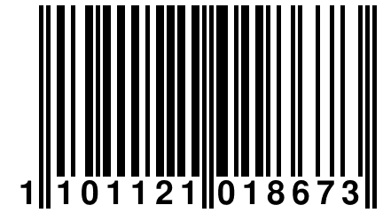 1 101121 018673