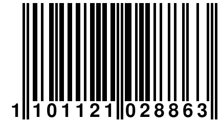 1 101121 028863