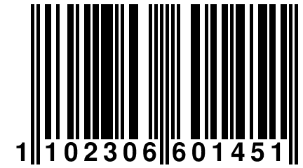 1 102306 601451