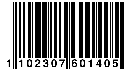 1 102307 601405