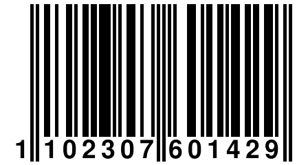 1 102307 601429