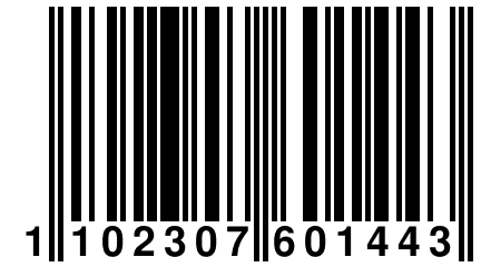 1 102307 601443