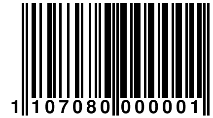 1 107080 000001