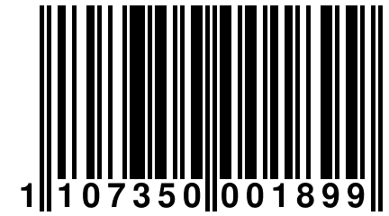 1 107350 001899