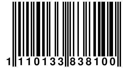 1 110133 838100