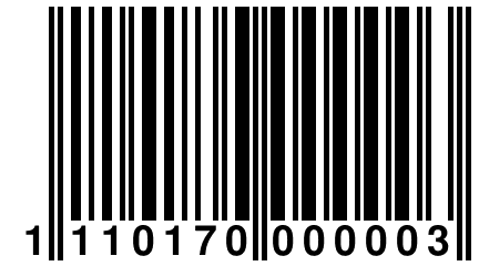 1 110170 000003