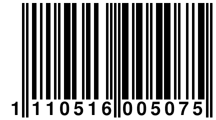 1 110516 005075