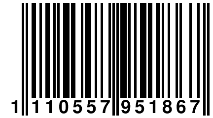 1 110557 951867