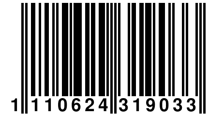 1 110624 319033