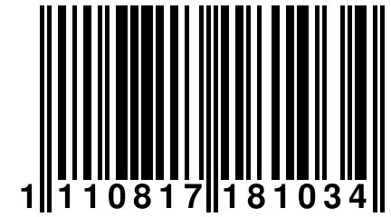 1 110817 181034