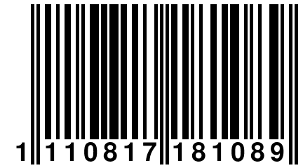 1 110817 181089