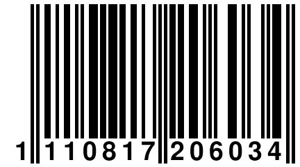 1 110817 206034