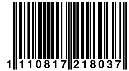 1 110817 218037