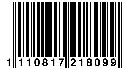 1 110817 218099