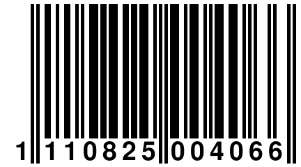 1 110825 004066