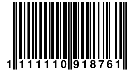 1 111110 918761