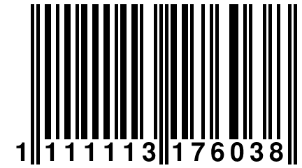 1 111113 176038