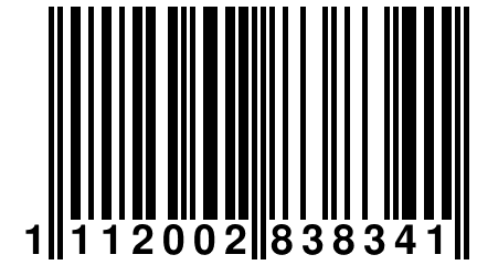 1 112002 838341