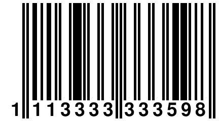 1 113333 333598