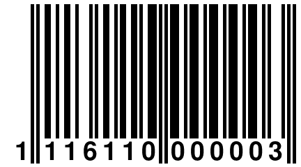 1 116110 000003