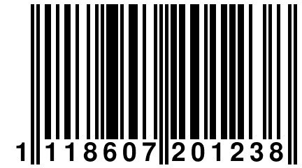 1 118607 201238