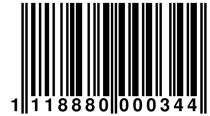 1 118880 000344