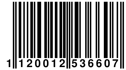 1 120012 536607