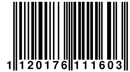 1 120176 111603