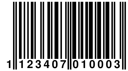 1 123407 010003