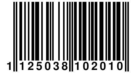 1 125038 102010