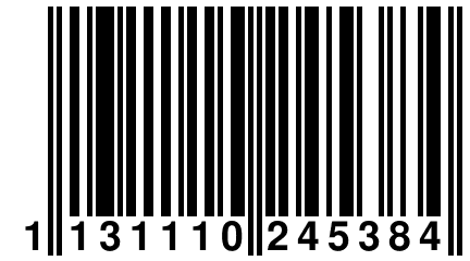 1 131110 245384