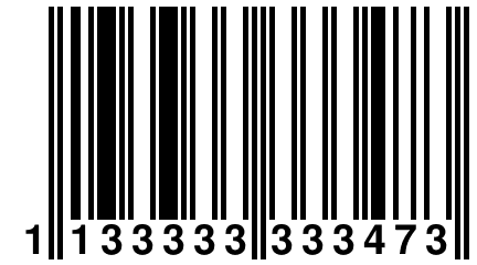 1 133333 333473