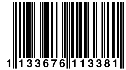 1 133676 113381