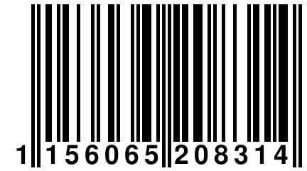 1 156065 208314